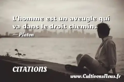 L homme est un aveugle qui va dans le droit chemin. - Platon CITATIONS