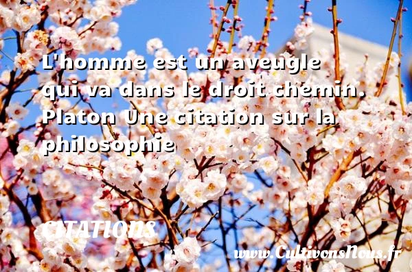 L’homme est un aveugle qui va - Citations - Citations Platon - Antiquité - Citation philosophie - philosophe