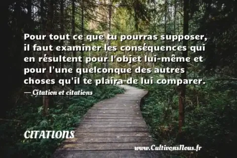 Pour tout ce que tu pourras supposer, il faut examiner les conséquences qui en résultent pour l objet lui-même et pour l une quelconque des autres choses qu il te plaira de lui comparer. - Citation et citations CITATIONS