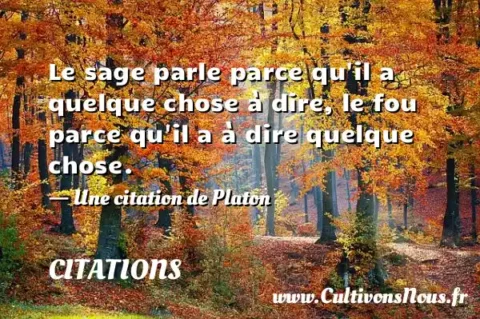 Le sage parle parce qu il a quelque chose à dire, le fou parce qu il a à dire quelque chose. - Une citation de Platon CITATIONS