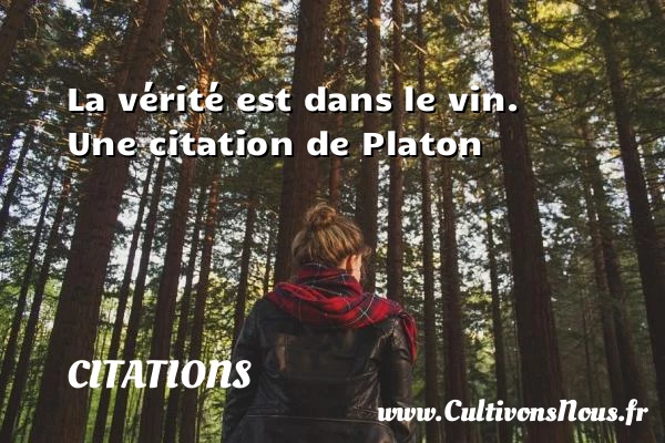 La vérité est dans le vin. - Citations - Citations Platon - Antiquité - Citation philosophie - philosophe