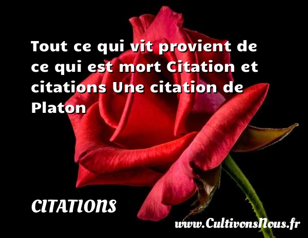 Tout ce qui vit provient de - Citations - Citations Platon - Antiquité - Citation philosophie - philosophe