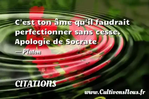 C est ton âme qu il faudrait perfectionner sans cesse. Apologie de Socrate - Platon CITATIONS