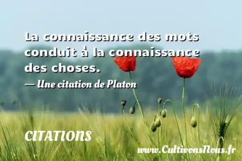 La connaissance des mots conduit à la connaissance des choses. - Une citation de Platon CITATIONS