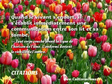 Quand le vivant s endort, il s établit immédiatement une communication entre son lit et sa tombe. - Tout corps couché prend la ligne de l horizon de l âme. L endormi devient le réveillé de l ombre. CITATIONS