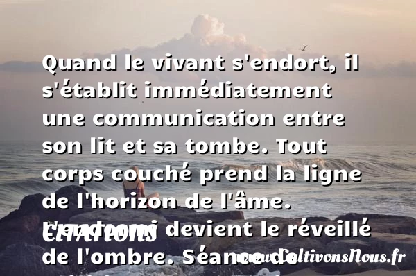 Quand le vivant s’endort, il - Citations - Citations Platon - Antiquité - Citation philosophie - philosophe