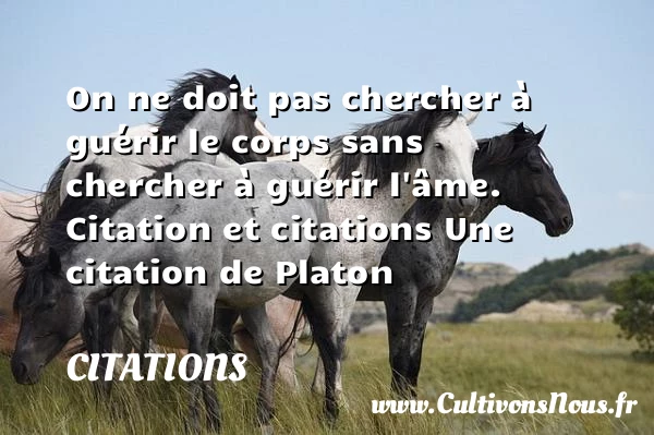 On ne doit pas chercher à - Citations - Citations Platon - Antiquité - Citation philosophie - philosophe