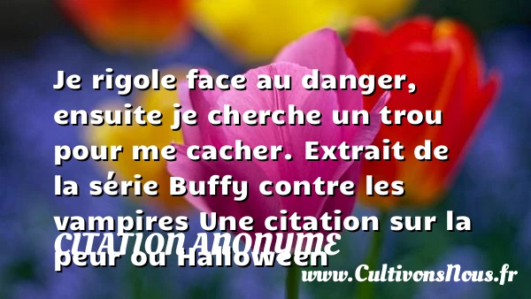 Je rigole face au danger, - Citation anonyme - Citation Halloween
