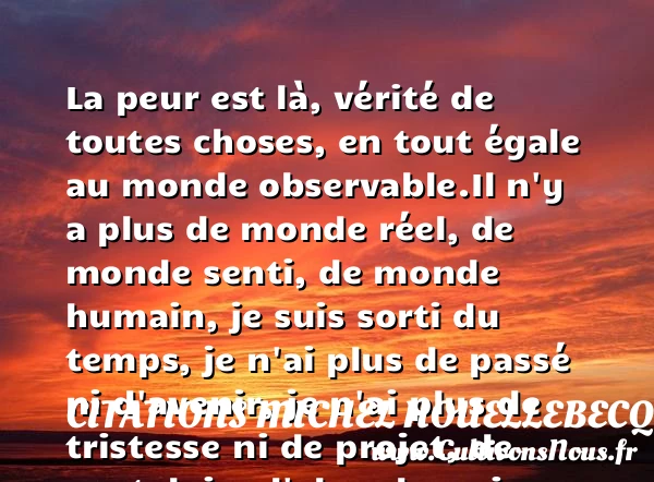 La peur est là, vérité de toutes - Citations Michel Houellebecq - Citation nostalgie - Citation peur
