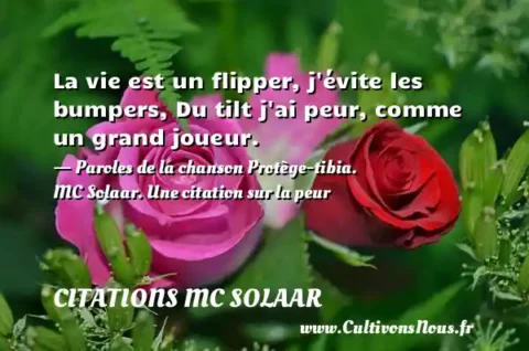 La vie est un flipper, j évite les bumpers, Du tilt j ai peur, comme un grand joueur. - Paroles de la chanson Protège-tibia. MC Solaar. Une citation sur la peur CITATIONS MC SOLAAR