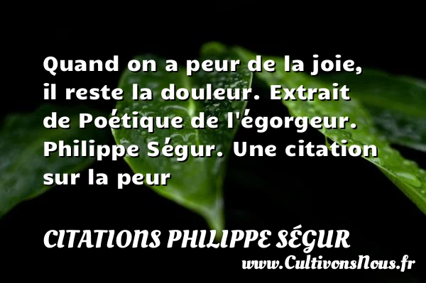 Quand on a peur de la joie, il - Citations Philippe Ségur - Citation peur