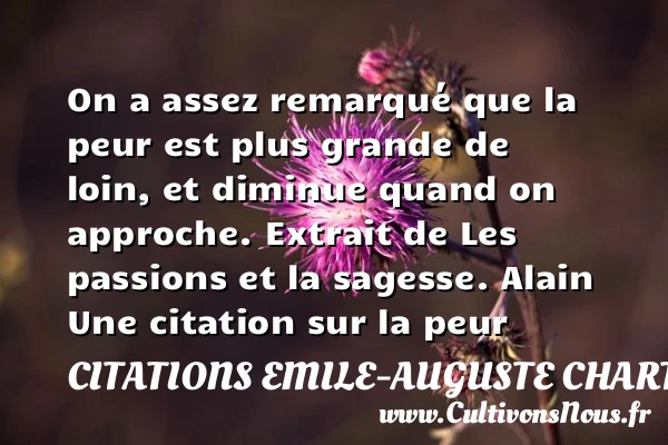 On a assez remarqué que la peur - Citations Emile-Auguste Chartier dit Alain - Citation peur
