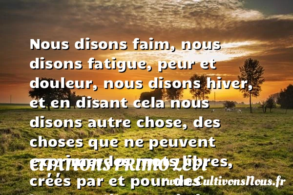 Nous disons faim, nous disons - Citations Primo Levi - Citation faim