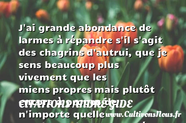 J’ai grande abondance de larmes à - Citations André Gide - Citation courage