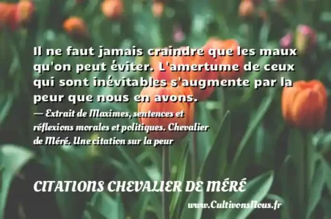 Il ne faut jamais craindre que les maux qu on peut éviter. L amertume de ceux qui sont inévitables s augmente par la peur que nous en avons. - Extrait de Maximes, sentences et réflexions morales et politiques. Chevalier de Méré. Une citation sur la peur CITATIONS CHEVALIER DE MÉRÉ