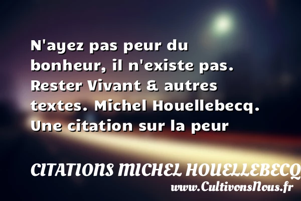 N’ayez pas peur du bonheur, il - Citations Michel Houellebecq - Citation peur - Citations bonheur
