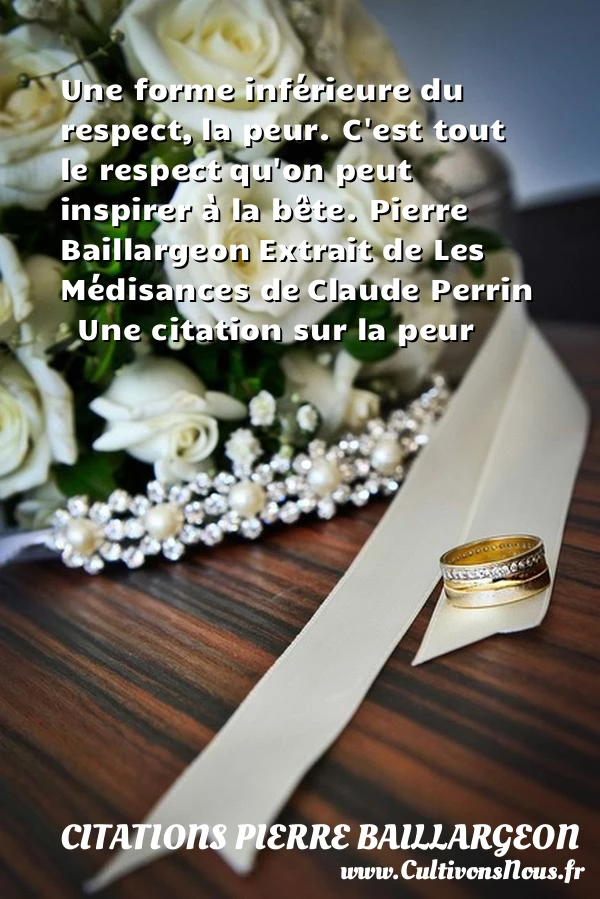 Une forme inférieure du respect, - Citations Pierre Baillargeon - Citation respect