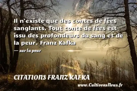 Il n existe que des contes de fées sanglants. Tout conte de fées est issu des profondeurs du sang et de la peur. Franz Kafka   - sur la peur CITATIONS FRANZ KAFKA
