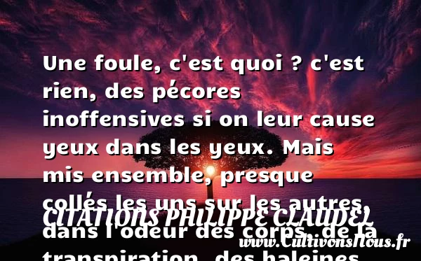Une foule, c’est quoi ? c’est - Citations Philippe Claudel - Citation visage