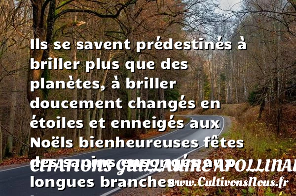 Ils se savent prédestinés - Citations Guillaume Apollinaire - Citation Noël