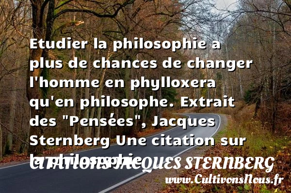 Etudier la philosophie a plus de - Citations Jacques Sternberg - Citation philosophie