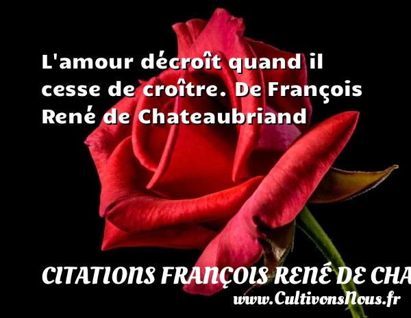 L’amour décroît quand - Citations François René de Chateaubriand