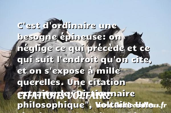 C’est d’ordinaire une besogne - Citations Voltaire - Citation philosophie