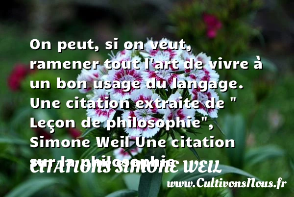 On peut, si on veut, ramener tout - Citations Simone Weil - Citation philosophie