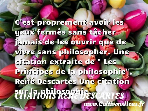 C’est proprement avoir les yeux - Citations René Descartes - Citation philosophie - Citation yeux