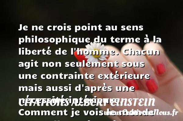 Je ne crois point au sens - Citations Albert Einstein - Citation philosophie
