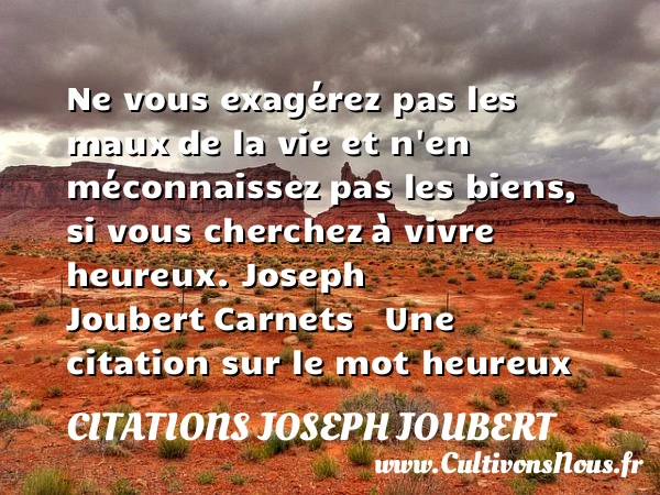 Ne vous exagérez pas les maux - Citations Joseph Joubert - Citations heureux