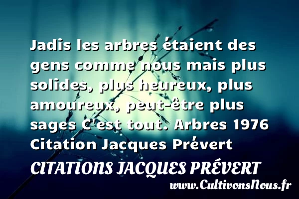 Jadis - Citations Jacques Prévert - Citation arbre - Citations heureux