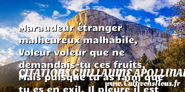 Maraudeur étranger malheureux - Citations Guillaume Apollinaire - Citations heureux