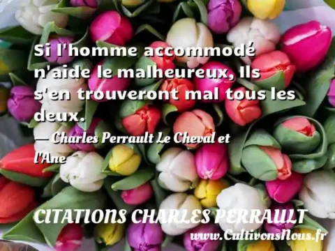 Si l homme accommodé n aide le malheureux, Ils s en trouveront mal tous les deux. - Charles Perrault Le Cheval et l Ane CITATIONS CHARLES PERRAULT