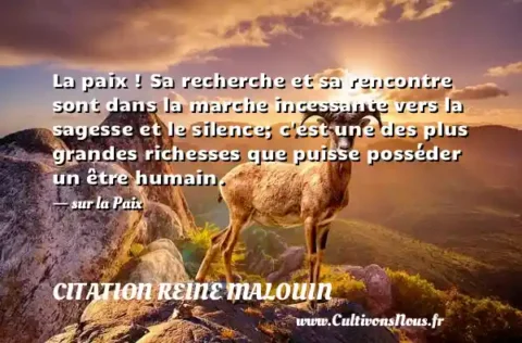 La paix ! Sa recherche et sa rencontre sont dans la marche incessante vers la sagesse et le silence; c est une des plus grandes richesses que puisse posséder un être humain. - sur la Paix CITATION REINE MALOUIN