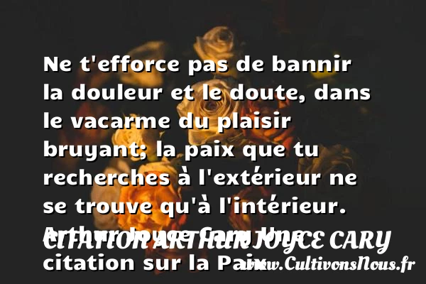 Ne t’efforce pas de bannir la - Citation Arthur Joyce Cary - Citation paix