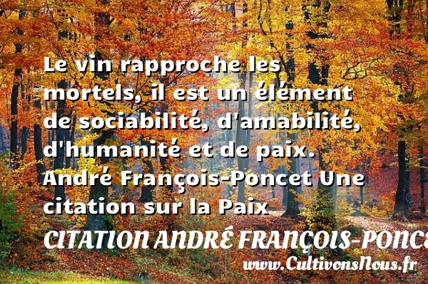 Le vin rapproche les mortels, il - Citation André François-Poncet - Citation humanité - Citation paix