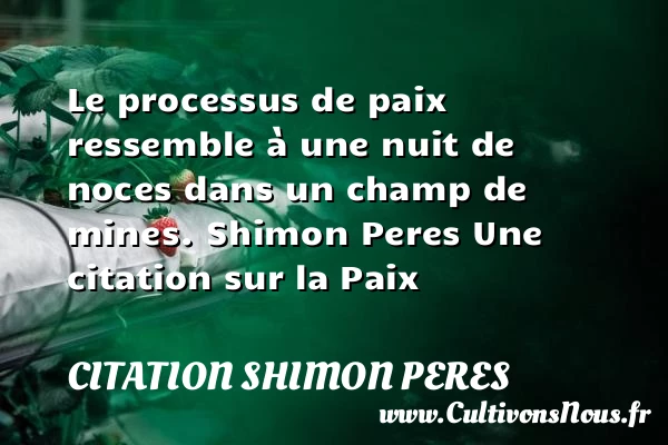Le processus de paix ressemble à - Citation Shimon Peres - Citation paix
