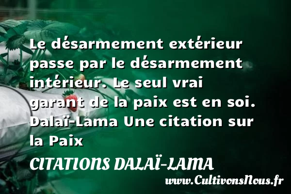Le désarmement extérieur passe - Citations Dalaï-Lama - Citation paix