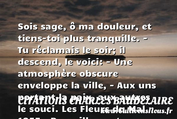 Sois sage, ô ma douleur, et - Citations Charles Baudelaire - Citation paix