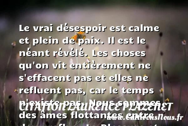 Le vrai désespoir est calme et - Citation Laurence Plazenet - Citation calme - Citation paix