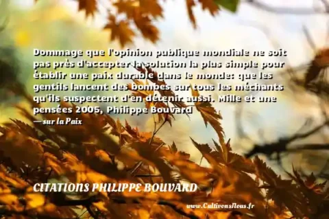 Dommage que l opinion publique mondiale ne soit pas près d accepter la solution la plus simple pour établir une paix durable dans le monde: que les gentils lancent des bombes sur tous les méchants qu ils suspectent d en détenir aussi. Mille et une pensées 2005, Philippe Bouvard - sur la Paix CITATIONS PHILIPPE BOUVARD