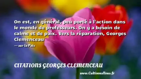 On est, en général, peu porté à l action dans le monde de professeurs. On y a besoin de calme et de paix. Vers la réparation, Georges Clemenceau - sur la Paix CITATIONS GEORGES CLEMENCEAU