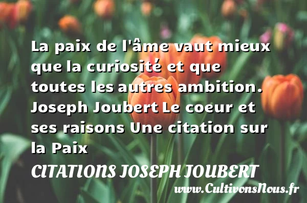 La paix de l’âme vaut mieux que - Citations Joseph Joubert - Citation paix
