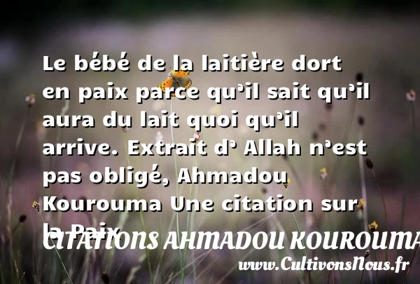 Le bébé de la laitière dort en - Citations Ahmadou Kourouma - Citation paix