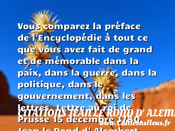 Vous comparez la préface de - Citations Jean le Rond d' Alembert - Citation paix