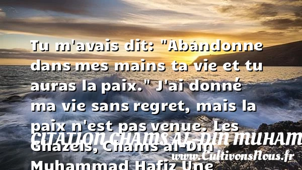 Tu m’avais dit: “Abandonne dans - Citation Chams al-Din Muhammad Hafiz - Citation paix