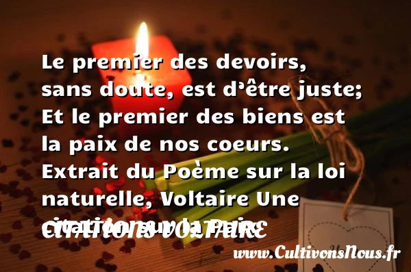 Le premier des devoirs, sans - Citations Voltaire - Citation paix