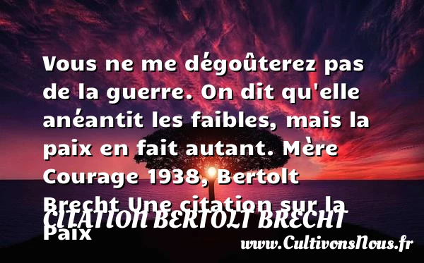 Vous ne me dégoûterez pas de la - Citation Bertolt Brecht - Citation paix