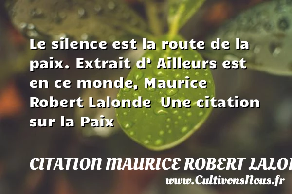 Le silence est la route de la - Citation Maurice Robert Lalonde - Citation paix